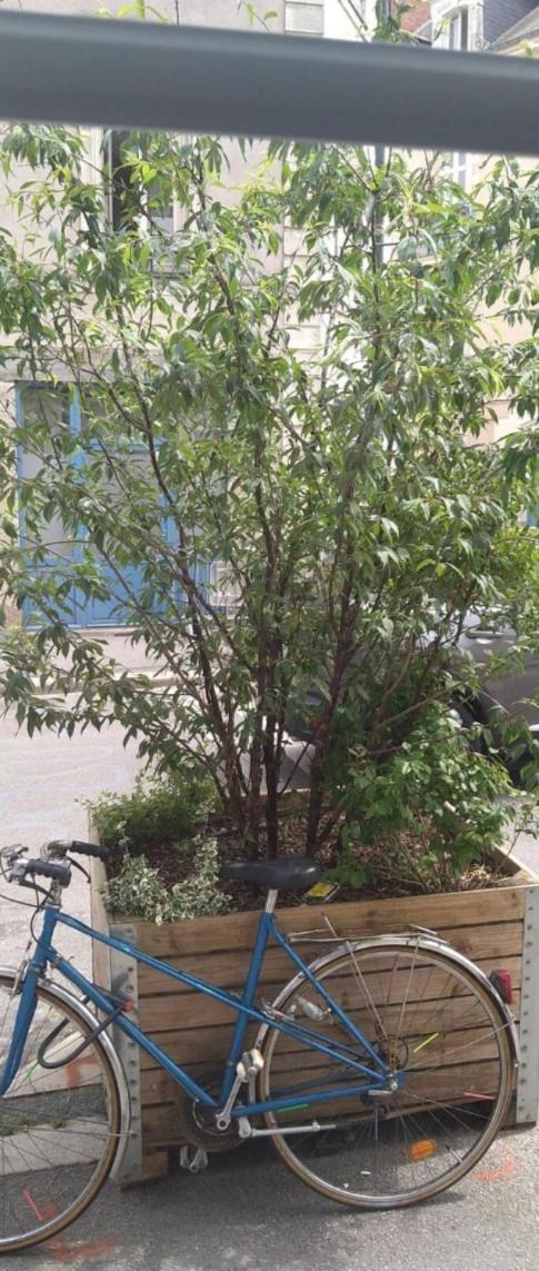 נאנט Appartement De Ville מראה חיצוני תמונה